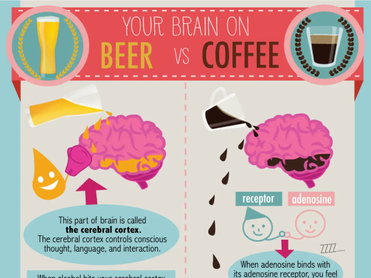 Beer Vs Coffee[InfoGraphic]