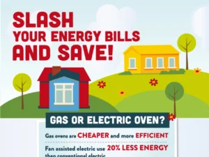 Saving Energy In The Home [InfoGraphic]