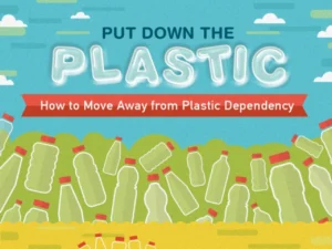 Plastic Production Environmental Impact Facts [InfoGraphic]