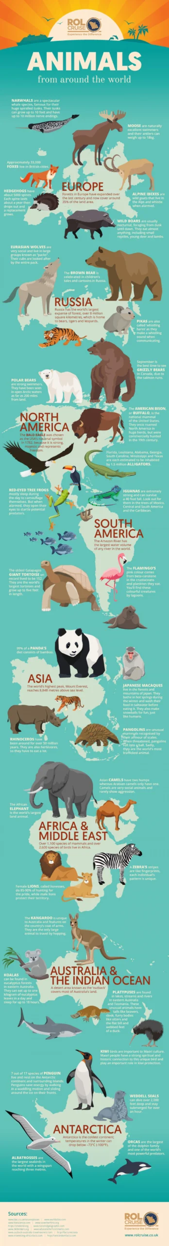Animals From Around The World [Infographic]