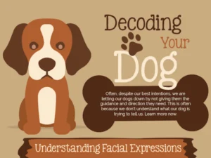 Decoding Your Dog [InfoGraphic]