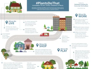 Plants Benefit Society In Many Ways [InfoGraphic]