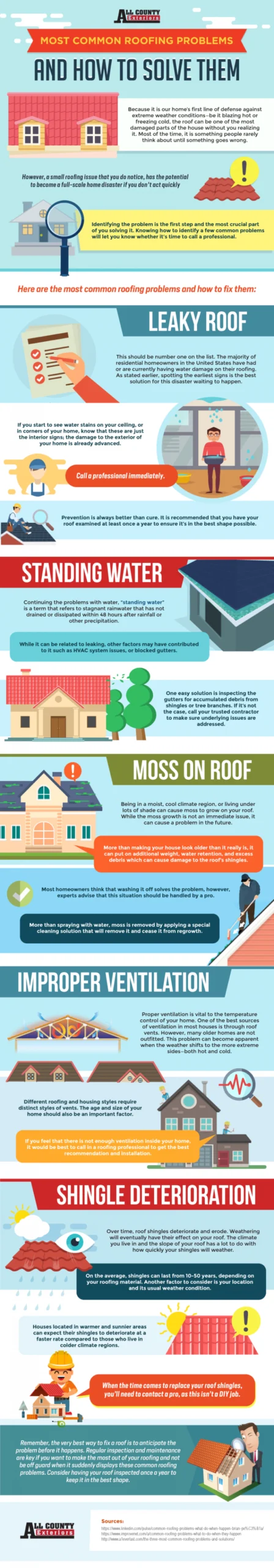 Roof Problems And Best Solutions Infographic