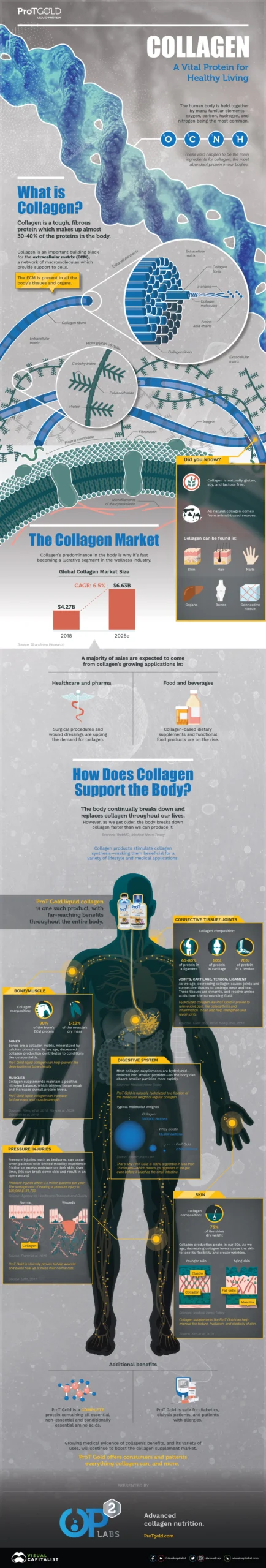 COLLAGEN – A Vital Protein For Healthy Living
