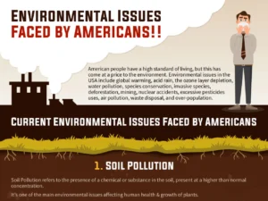 Environmental Issues Faced By Americans