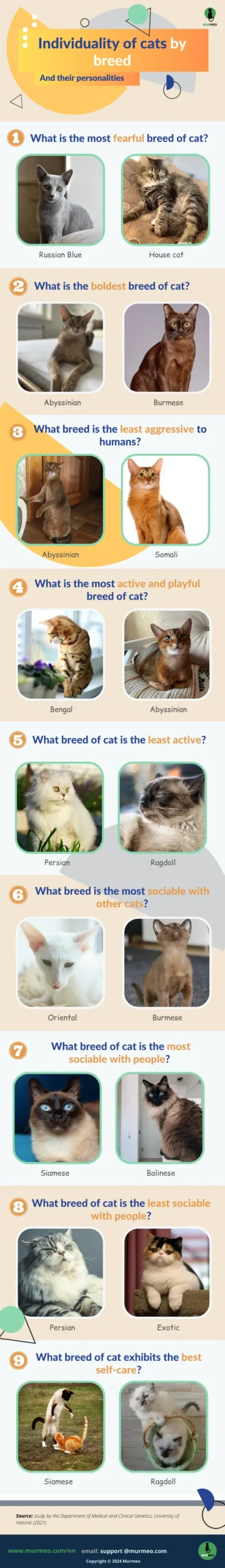 Individuality of Cats Breed and Their Personalities