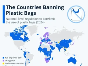 The Countries Banning Plastic Bags: An Analysis of Global Efforts in 2024