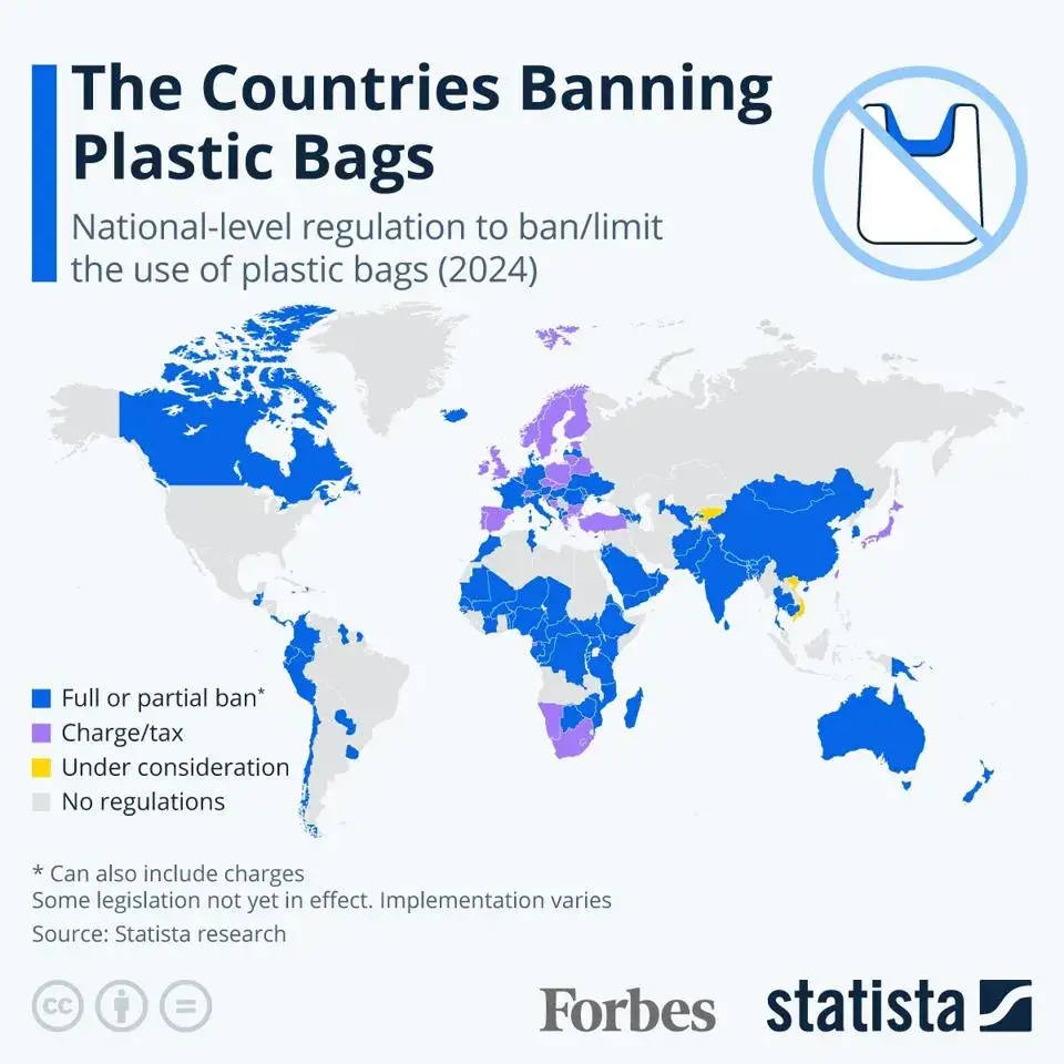 The Countries Banning Plastic Bags: An Analysis of Global Efforts in 2024